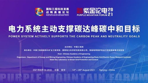 2021國際工程科技發(fā)展戰(zhàn)略高端論壇暨第六屆紫金論電國際學(xué)術(shù)研討會(huì)召開